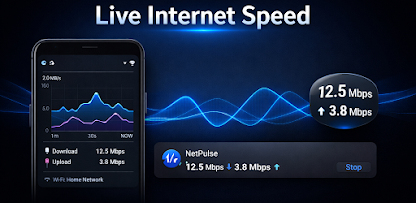 NetPulse InterNet Speed Monitor